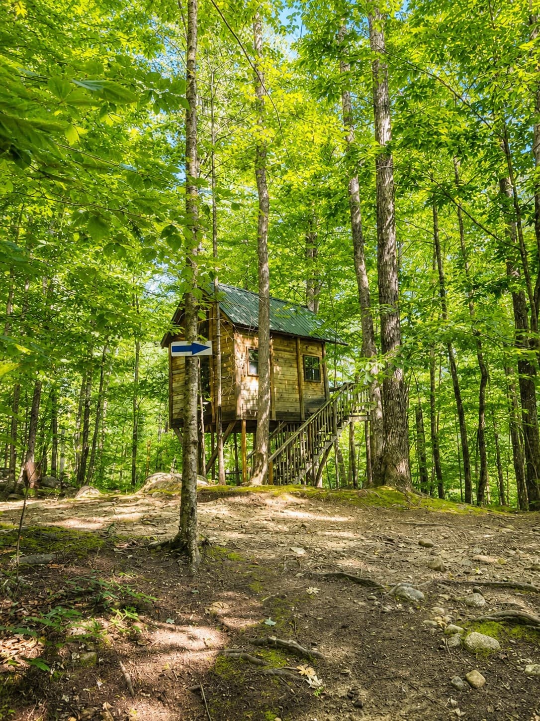 The Birdie — Rustic Off-Grid Treehouse