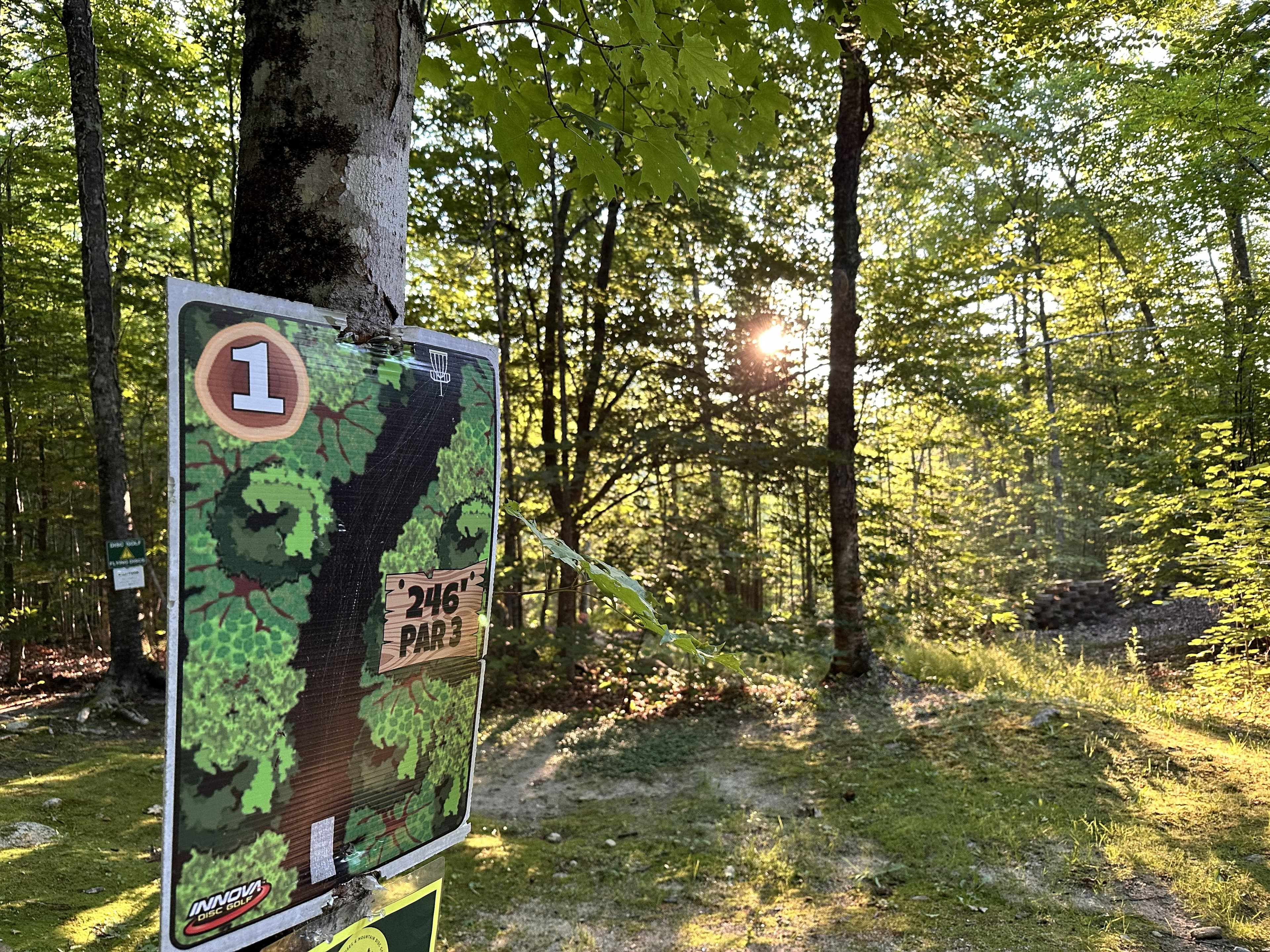 In the Trees gallery image 9