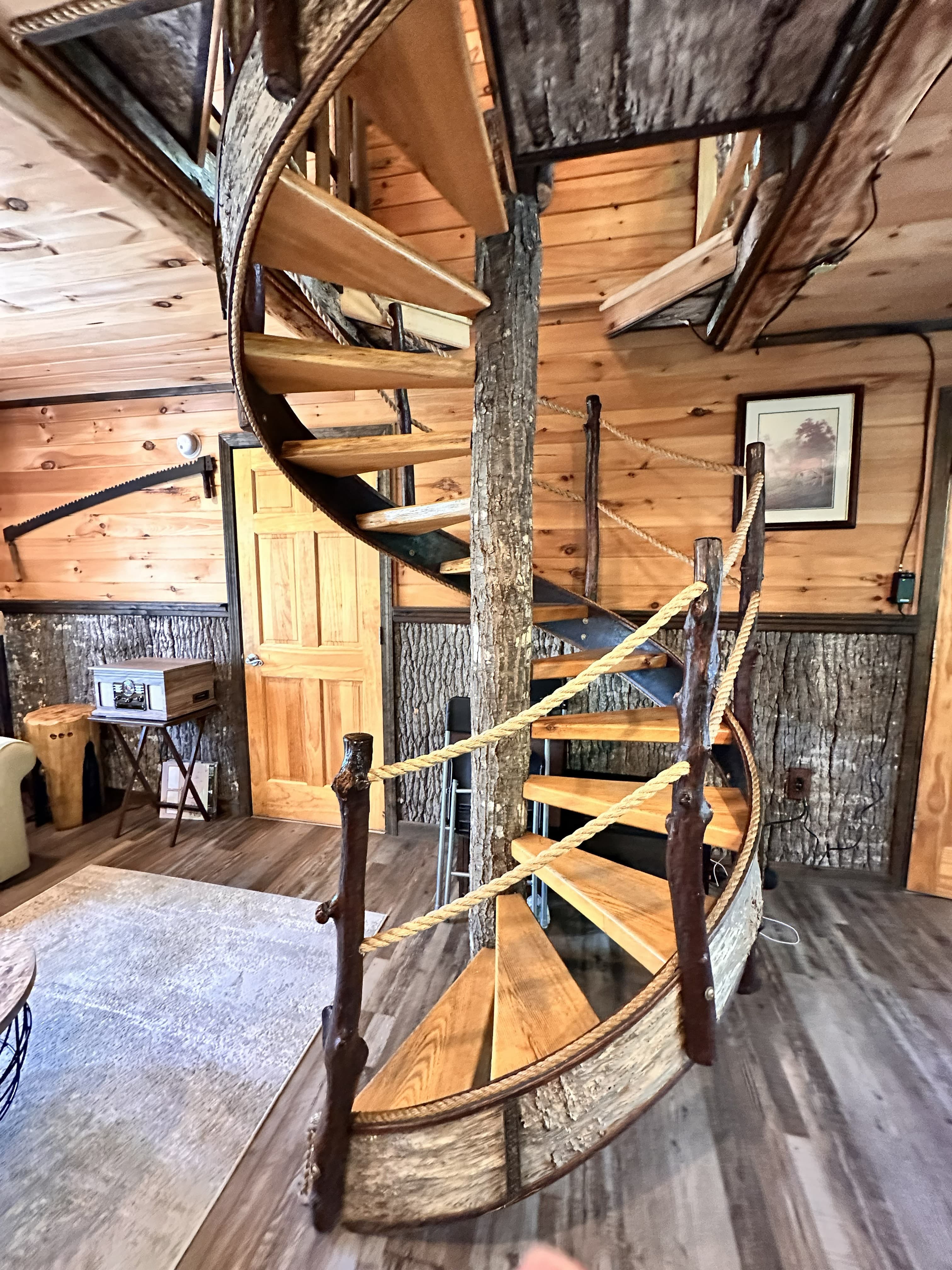 In the Trees gallery image 16