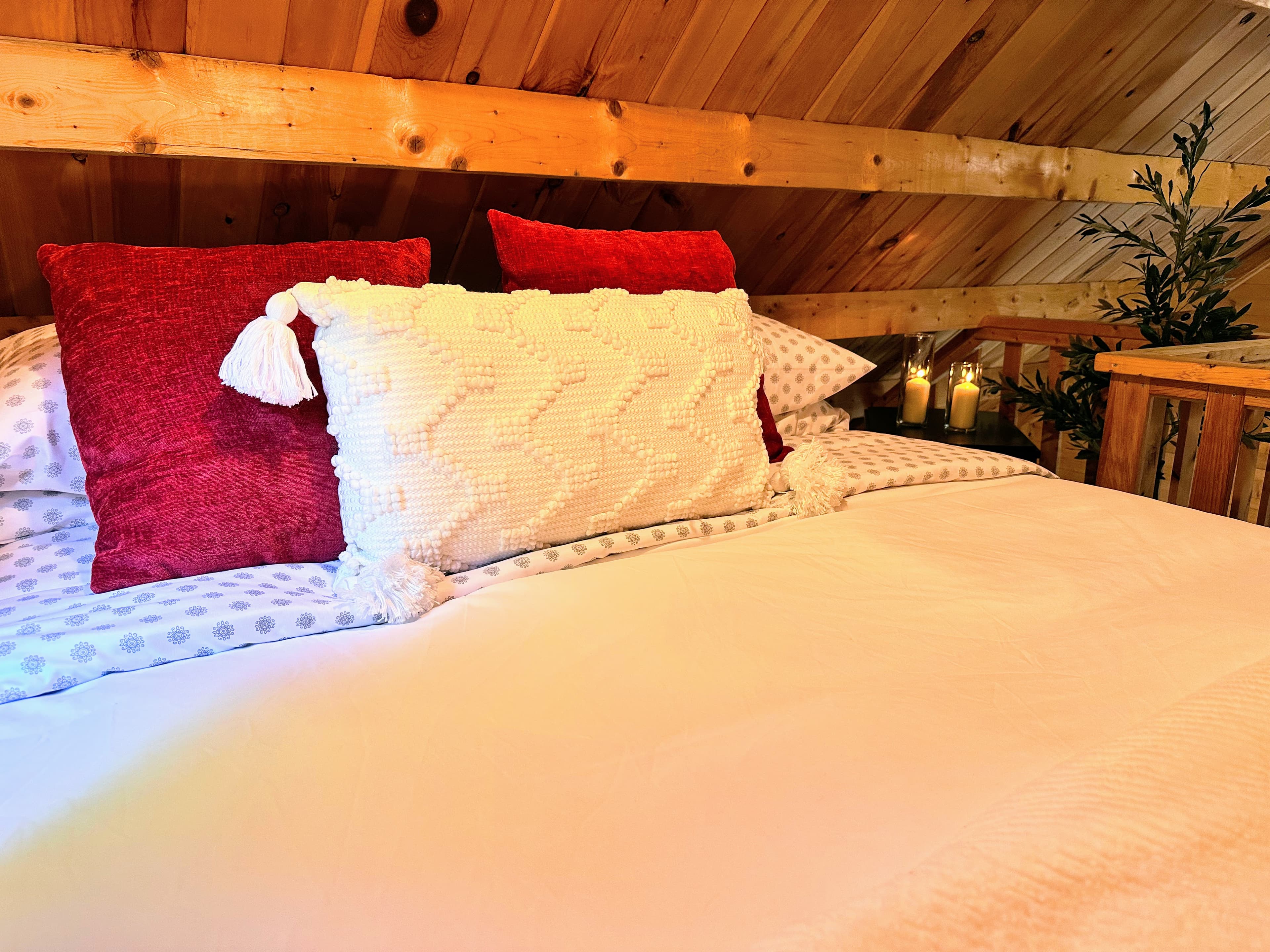 The Spruce Suite preview 6
